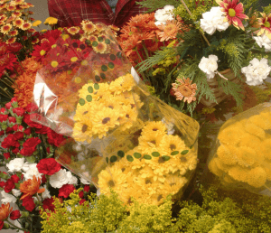Bunches of flowers on display 