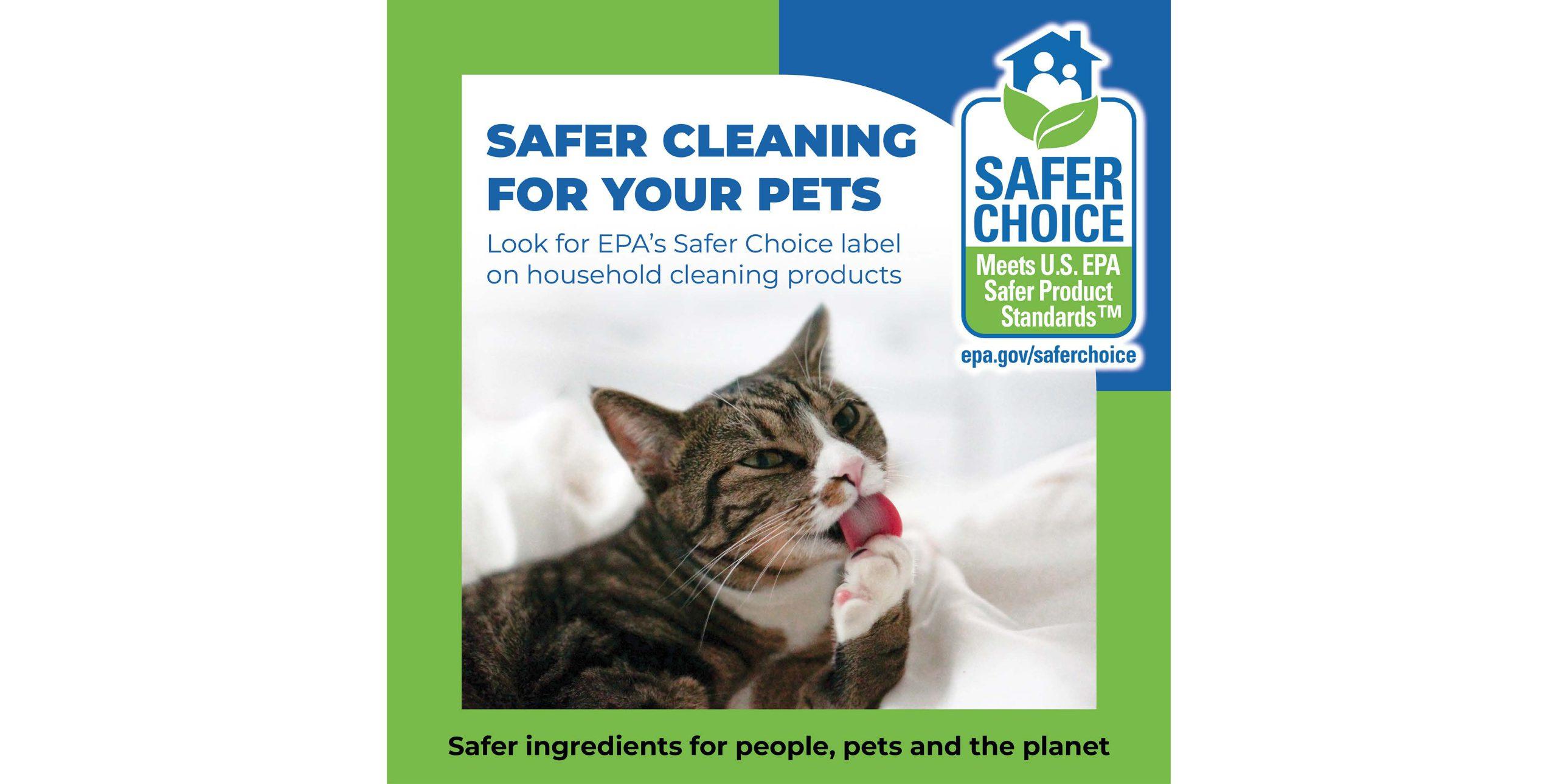 image of a cat licking it's paw on an EPA pesticide label for Safer Choice pesticides.