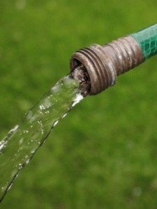 hose with water running