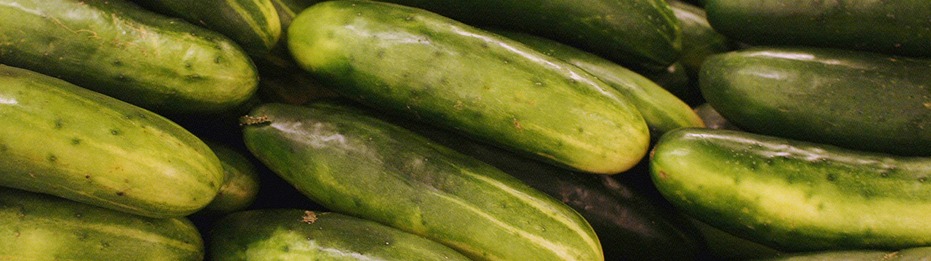 https://blogs.ifas.ufl.edu/pinellasco/files/2009/10/cucumbers.jpg