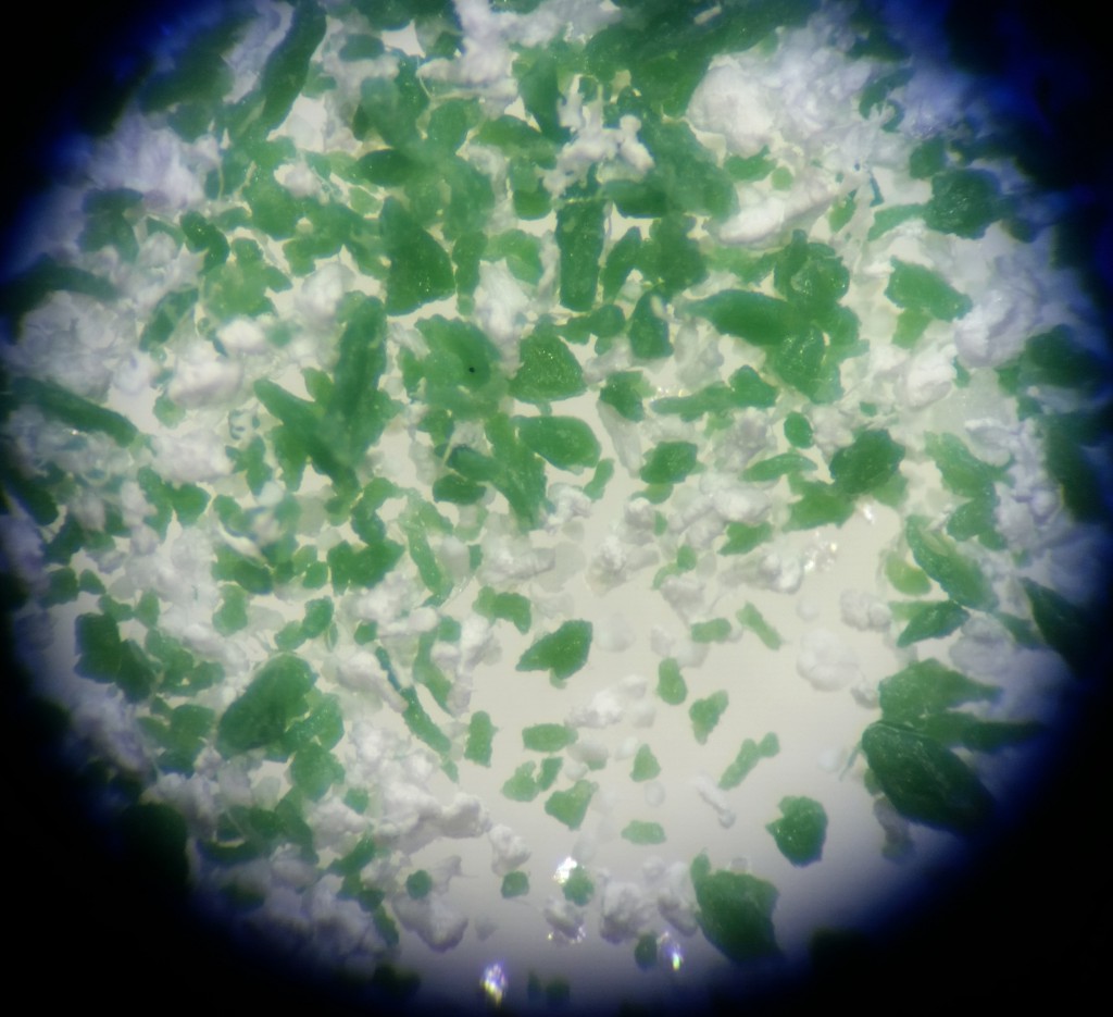 Plastic in My Toothpaste?! UF/IFAS Extension Pinellas County