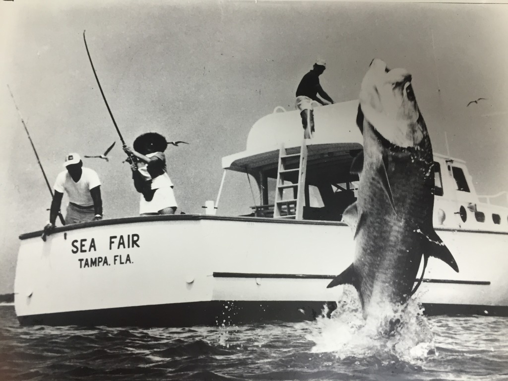 Discover the Fishing Heritage of Tampa Bay! - UF/IFAS Extension Pinellas  County