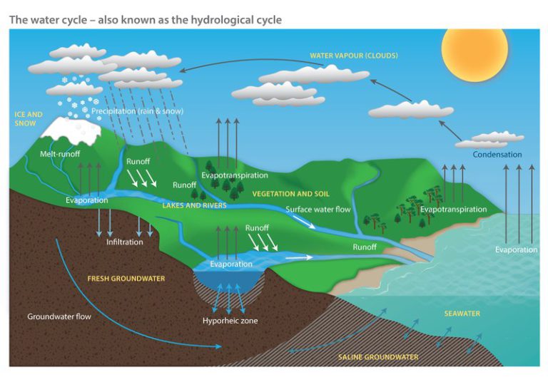 Here s How The Urban Water Cycle Impacts Your Neighborhood UF IFAS 