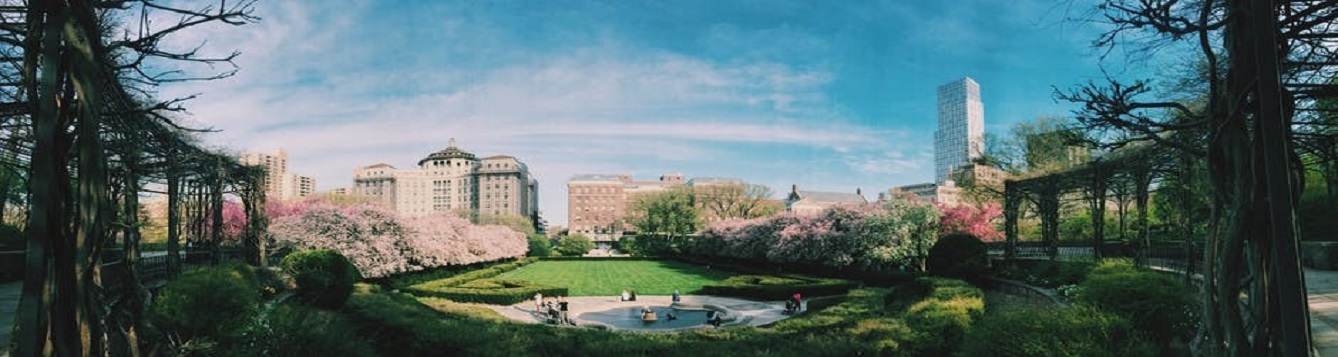 Park in foreground with city skyline in background