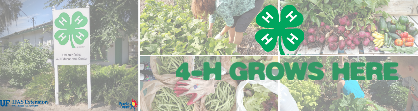 Collage of Photos in the Ochs Garden