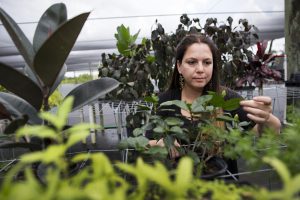 romina gazis working in lab