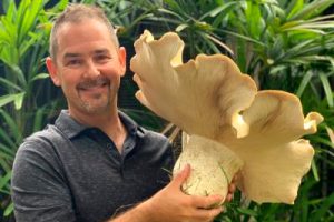 matthew smith holding large mushroom