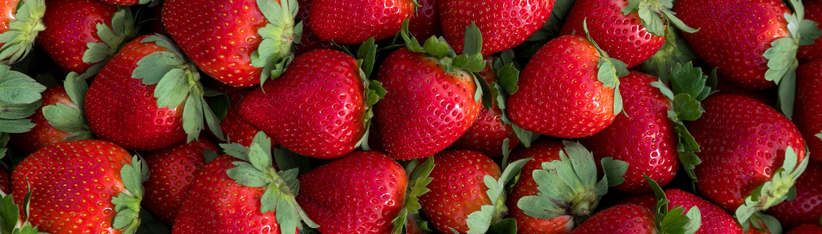 photo of strawberries