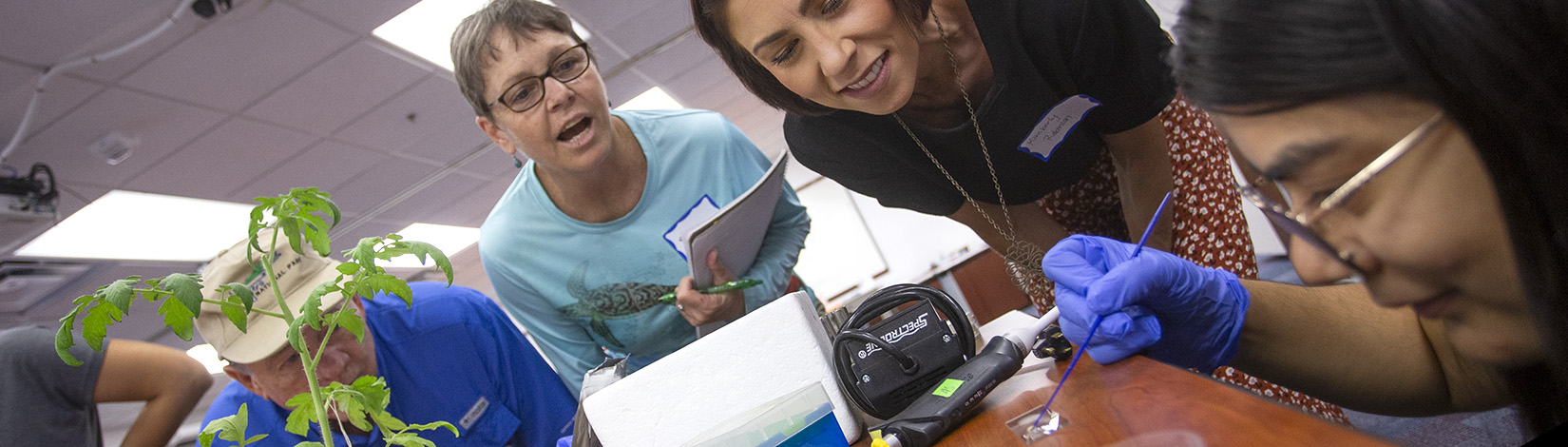 workshop attendees watch a scientific demonstration