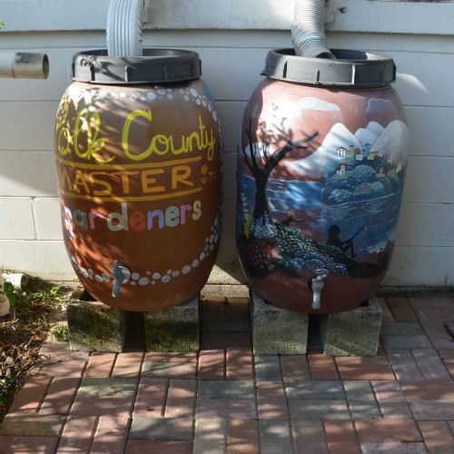 Rain barrels in the garden UF/IFAS Extension Polk County