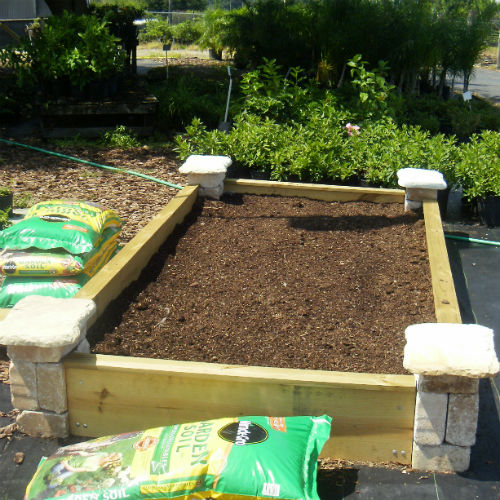 Getting Ready For The Fall Veggie Garden - Uf Ifas Extension Polk County