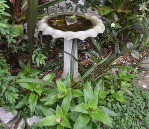 Birdbath
