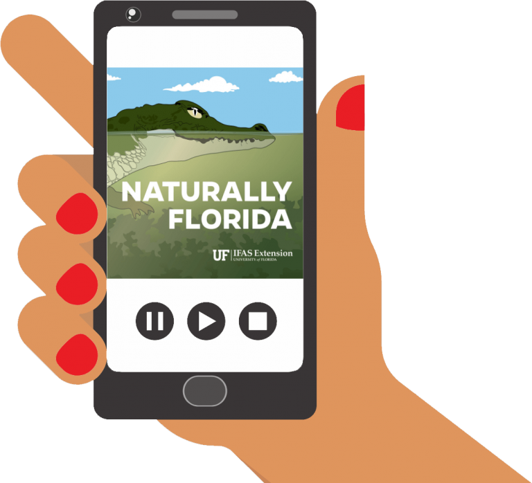 Birdhouses in Florida a new Naturally Florida Episode