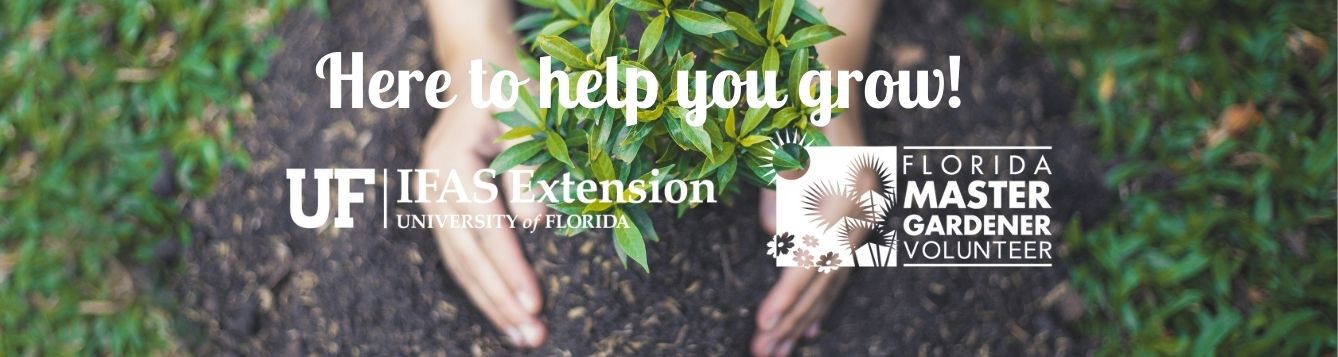 Here to help you grow!