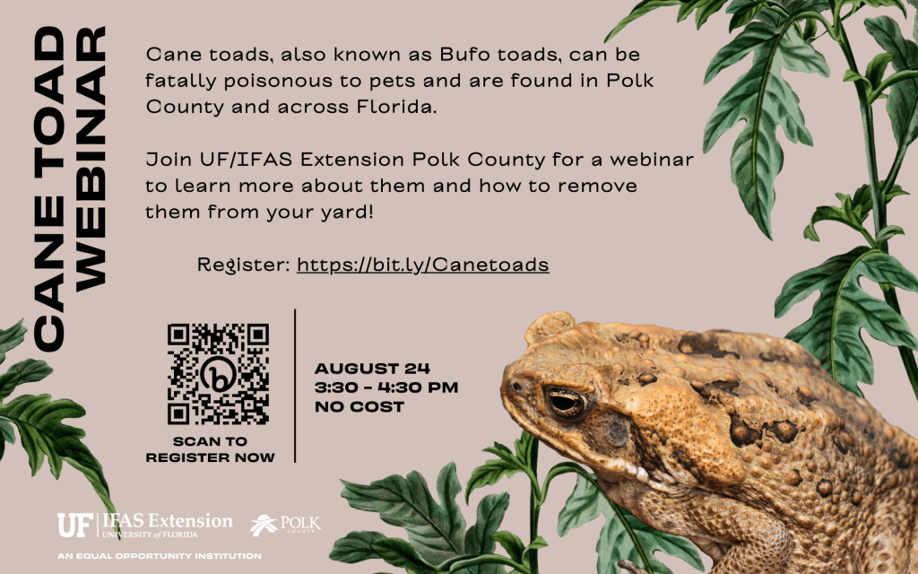 CANE TOAD WEBINAR: August 24, no charge to participants. Register at: https://bit.ly/Canetoads