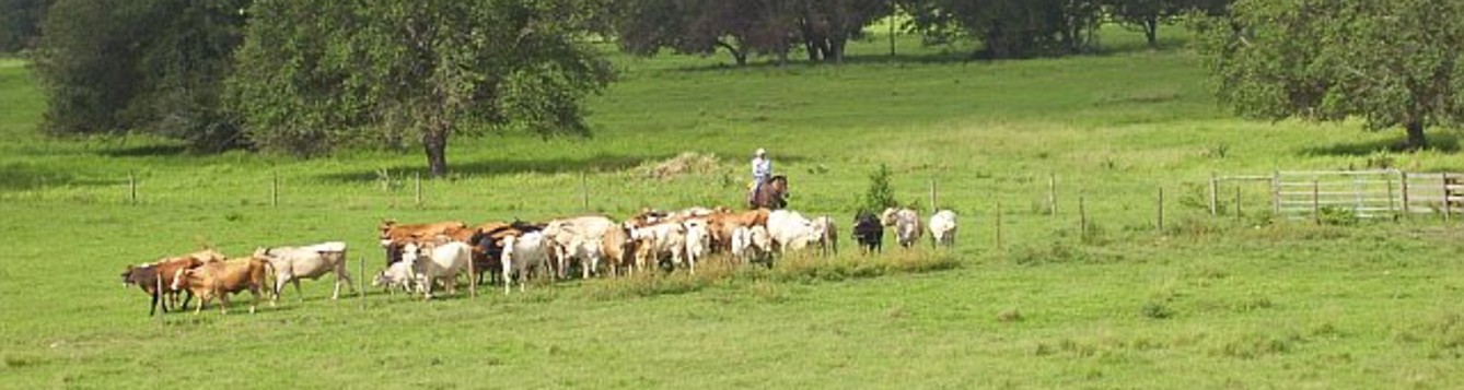 Polk Pasture Rent Values Ufifas Extension Polk County 