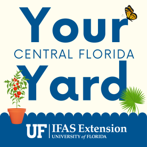 Your central Florida yard podcast cover with butterfly, tomato plant, and saw palmetto leaf