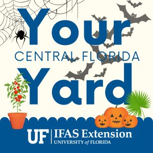 Podcast cover for the Your Central Florida Yard podcast with spider webs, spider, bats, pumpkins