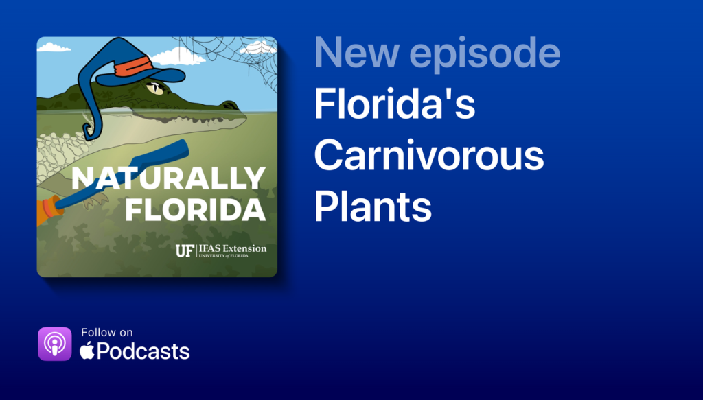New Episode: Florida's Carnivorous Plants