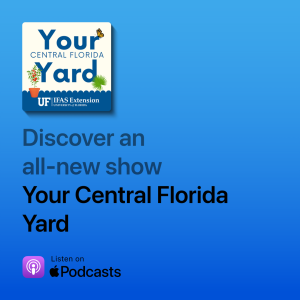Your Central Florida Yard Podcast promo "Discover an all-new show"
