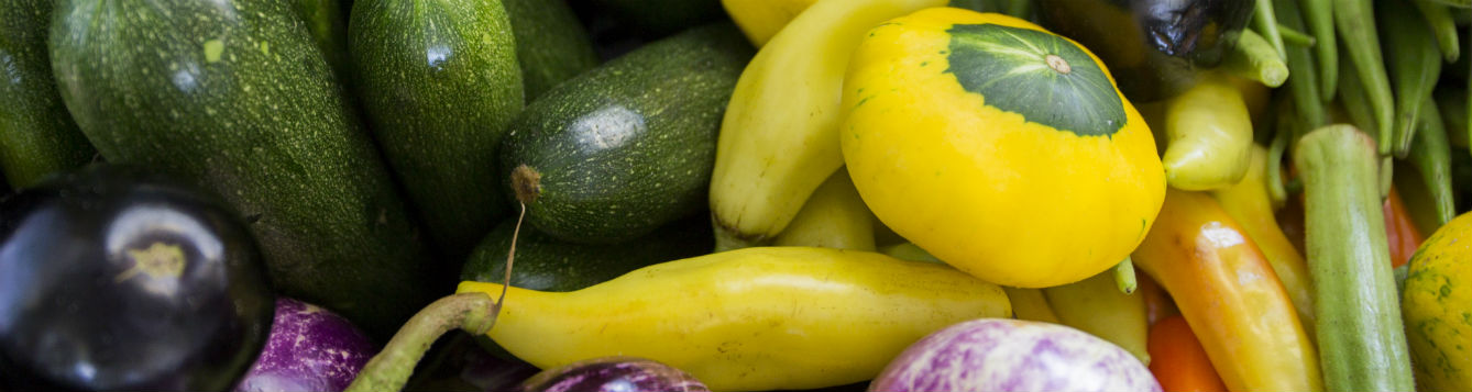 Vegetables grown in a garden.