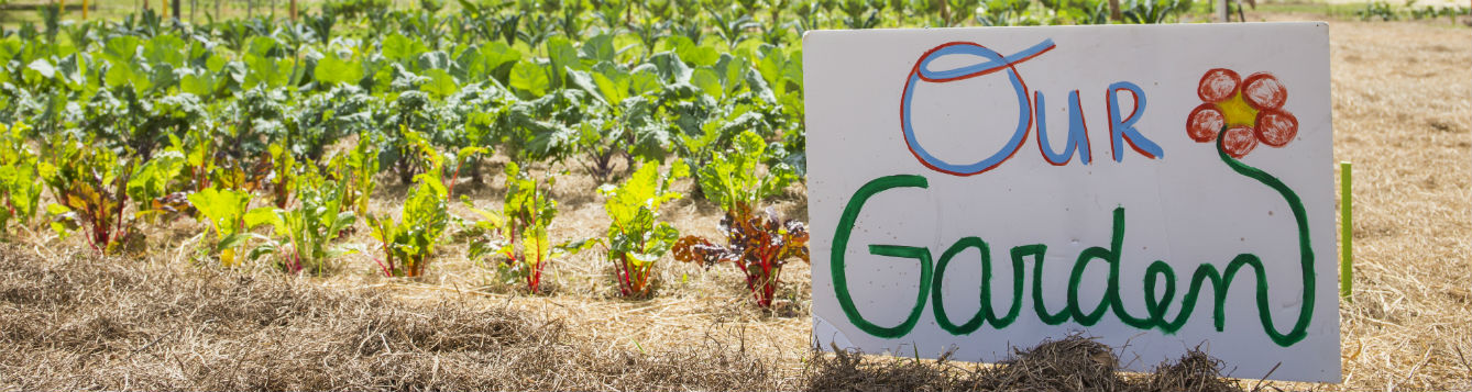 a sign which reads, "Our Garden", by a vegetable garden.