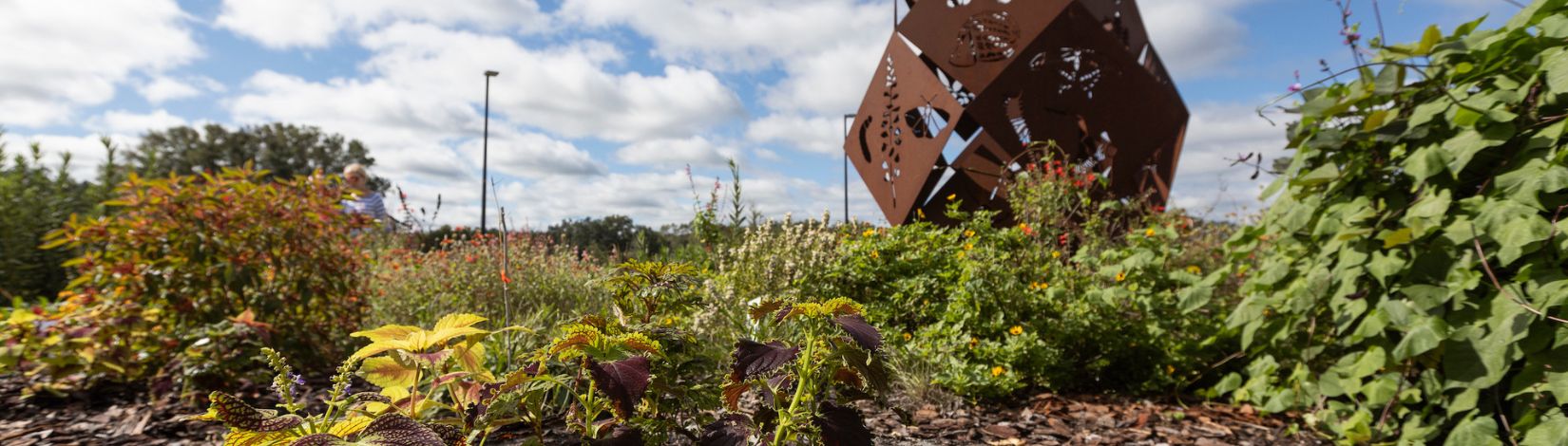 Teaching demonstration gardens at the Alachua County Extension Office.