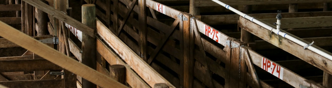 alley at a livestock market
