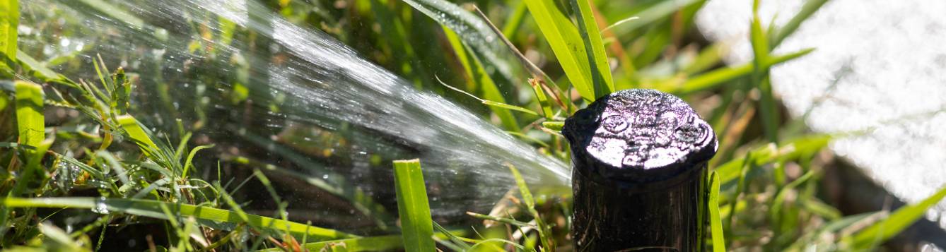 pop-up sprinkler spraying a stream of water