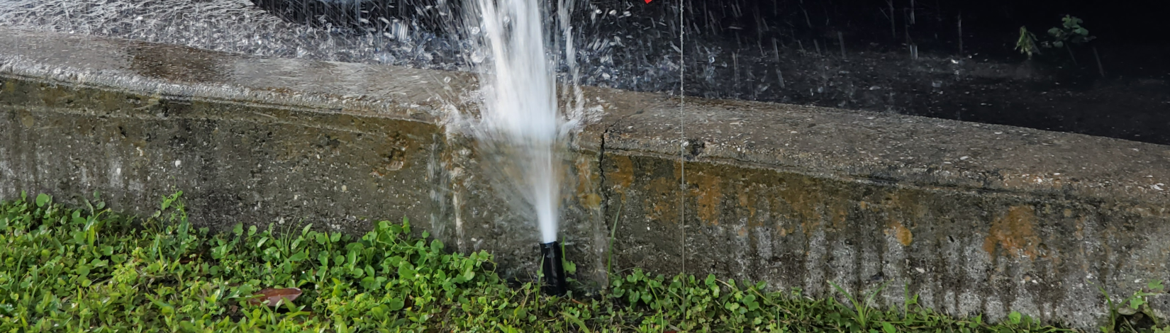 A broken sprinkler head