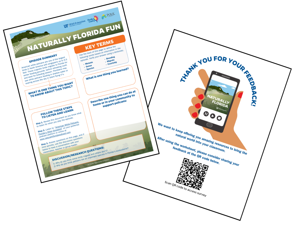 An example of the learning worksheets and feedback page.