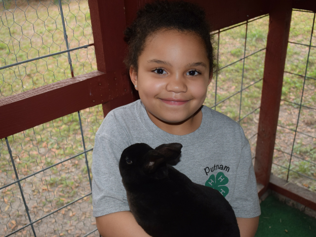 Cloverbuds and 4-H Animal Projects - UF/IFAS Extension Putnam County