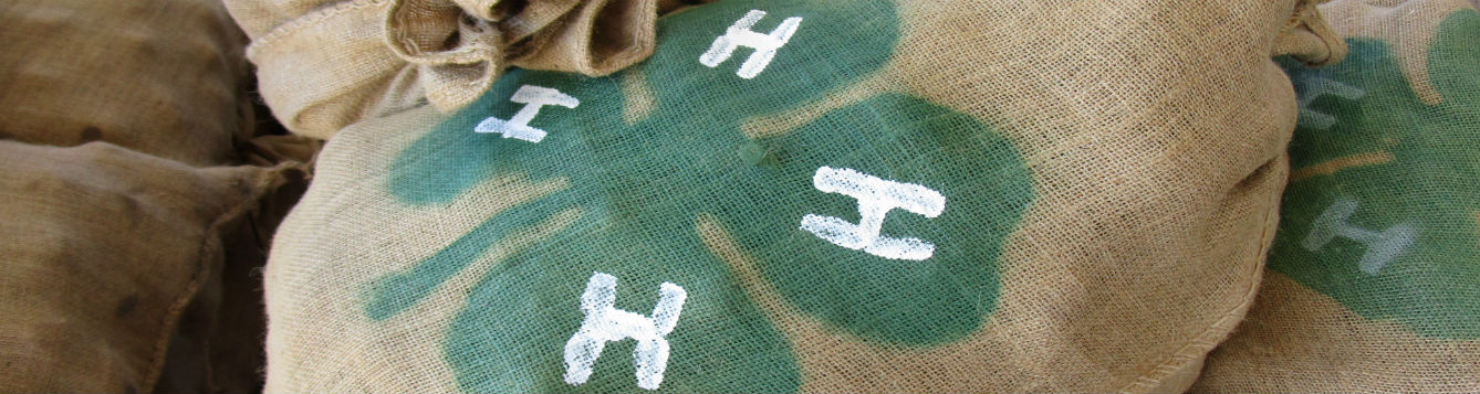 sack of potatoes with 4-H emblem