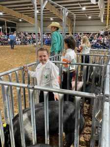 girl in pen with pig for showmanship