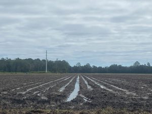 flooded fields after storm