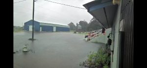 flooding at the aquaponic facility grounds