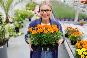 Woman is holding flowers in pots, looking at camera and smiling while standing in a nursery.