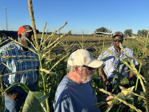three men in the corn field examining an ear of corn