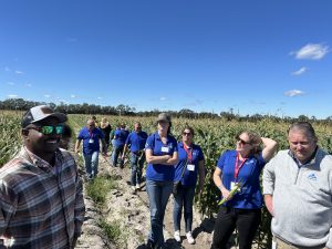group of people standing in the sweet corn field