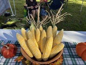 bowl of sweet corn that has been shucked