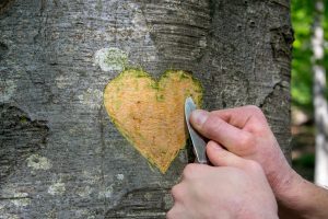 Person carving a heart shape into tree bark with a knife, exposing the inner wood.