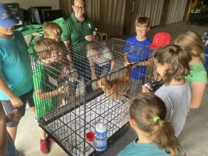 kids standing around chicken crate playing chicken poop bingo