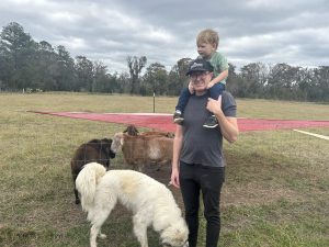 guardian dog in sheep pen next to man holding child on his shoulders