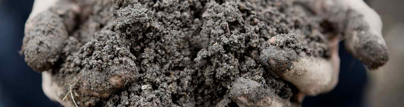 Two hands holding soil