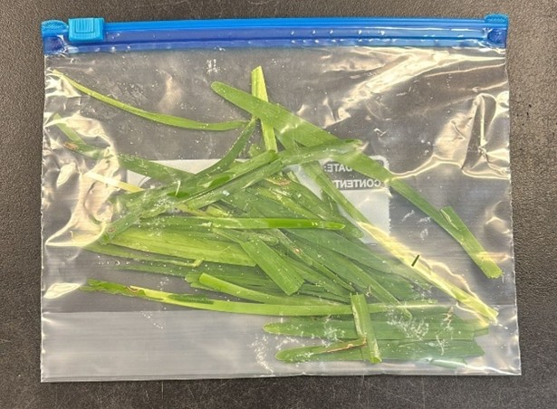 Quart size Ziploc that has a pasture grass sample that is too small.