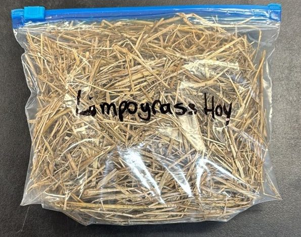This is an example of a good hay sample.