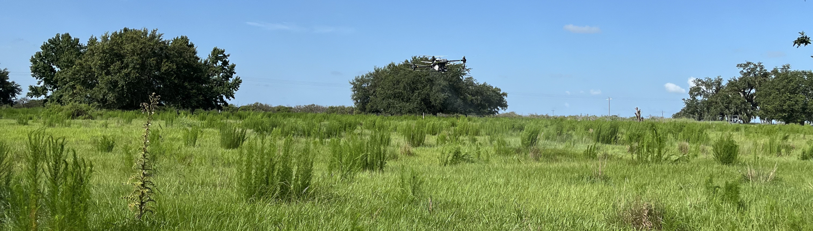 Drone flying in pasture above weeds.