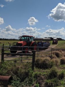 October 24 field day activities at UF/IFAS REC in Ona