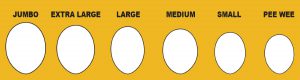 chart showing comparison of six egg sizes, from pee wee to jumbo