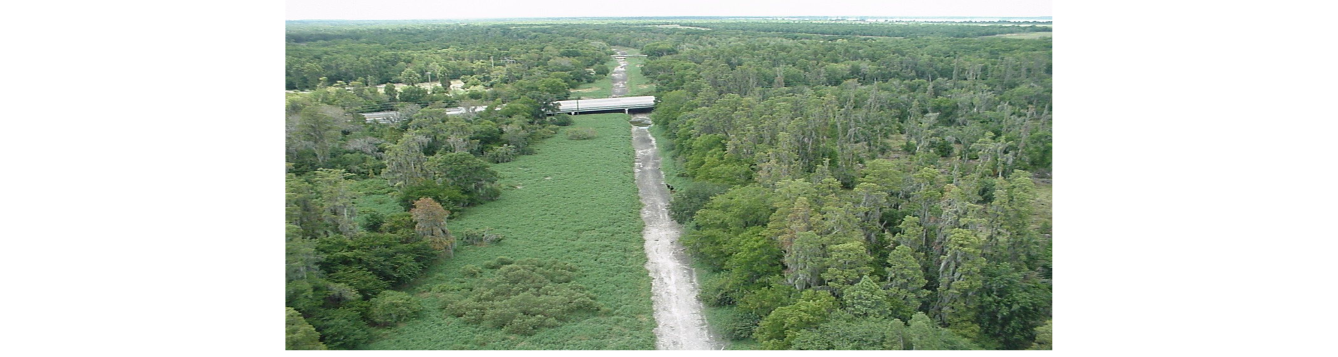 Dried Peace River bed in Bartow.